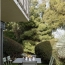  Annonces VAL DE SAONE : Apartment | VILLEURBANNE (69100) | 65 m2 | 370 000 € 